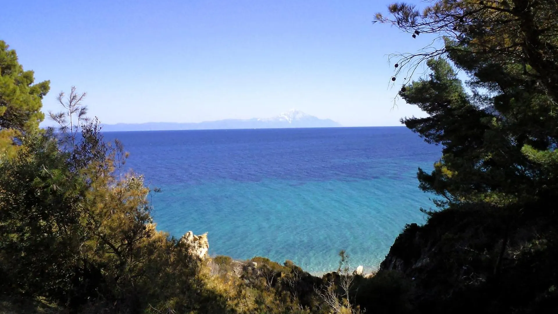 House In Pines In Front Of The Sea Villa Vourvourou