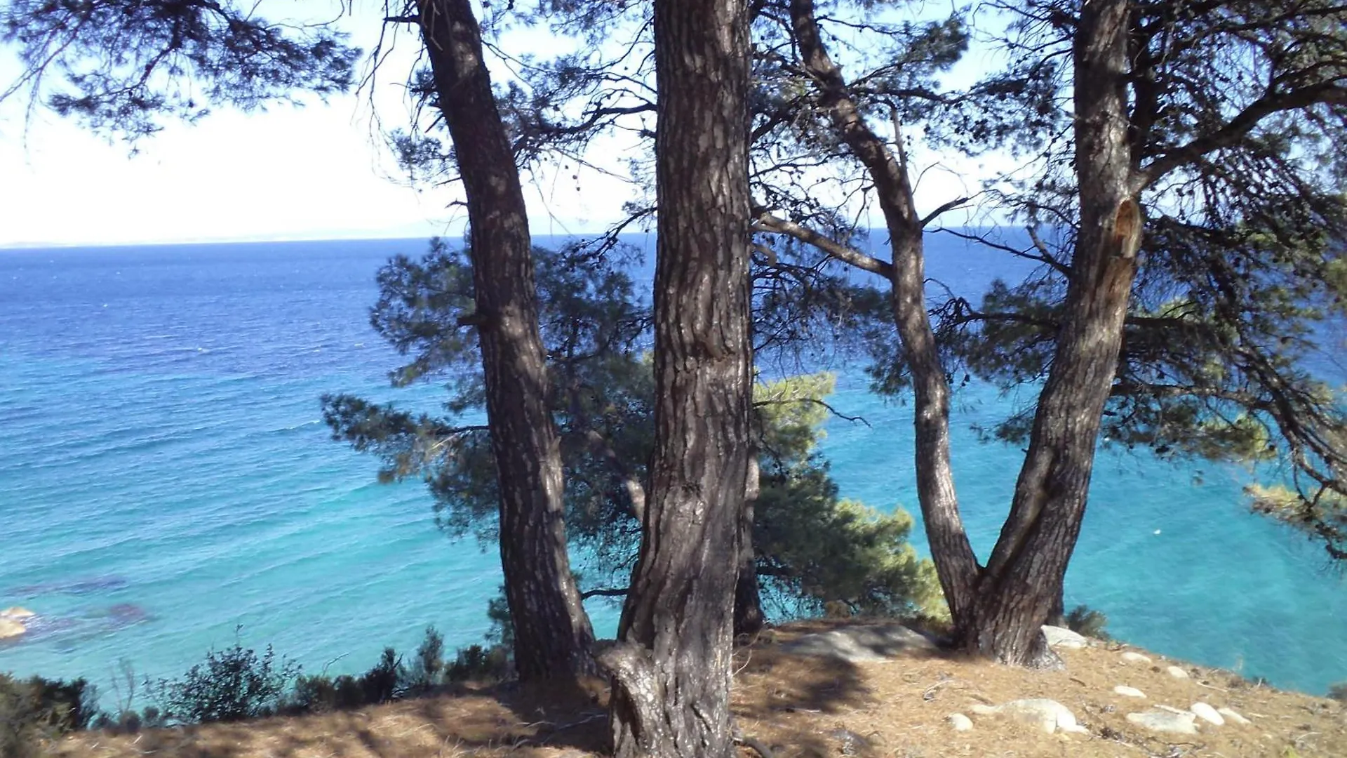 House In Pines In Front Of The Sea Villa Vourvourou Holiday home